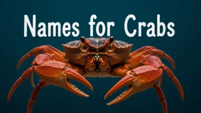 Names for Crabs